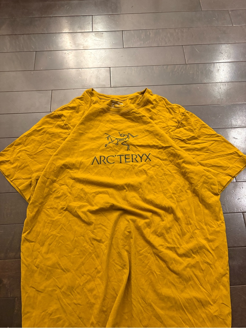 Arc’teryx shirt